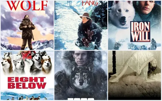 6 Best Dog Sledding and Arctic Expedition Movies