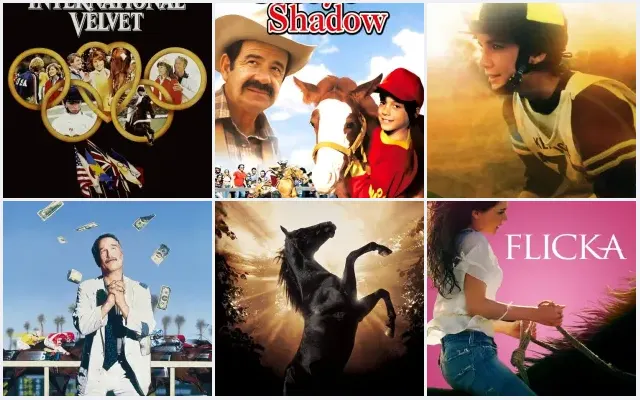 6 Best Equestrian and Show Jumping Movies