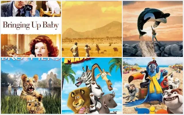6 Best Escaped Captive Animal Movies