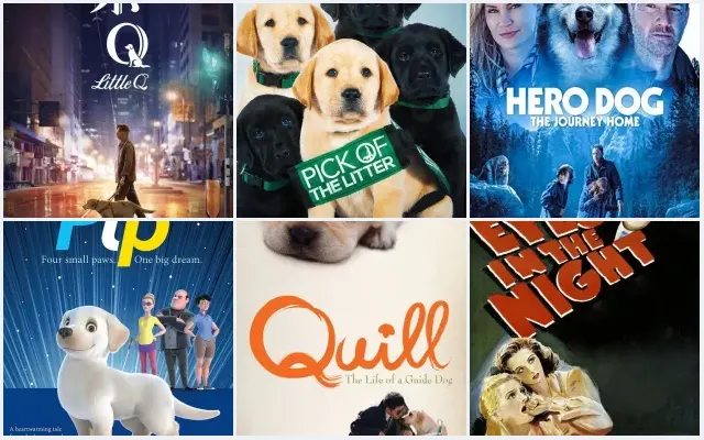 6 Best Guide Dog Movies
