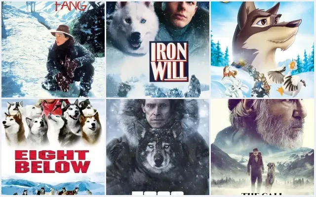 6 Best Sled Dog and Arctic Adventure Movies