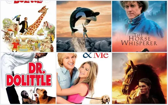6 Best Veterinarian and Animal Doctor Movies