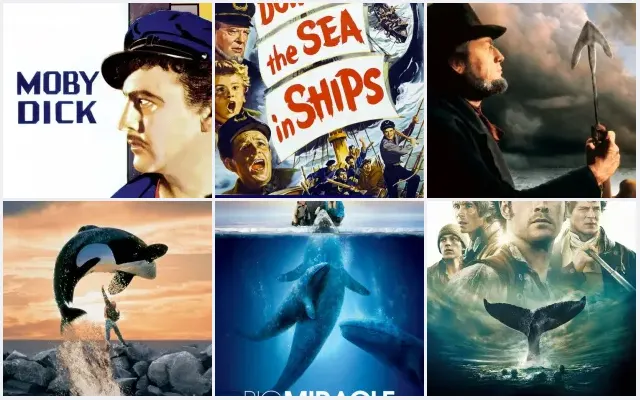6 Best Whales and Whaling Movies