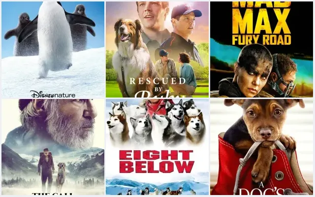 Animal Rescue Movies – 10 Best Movies