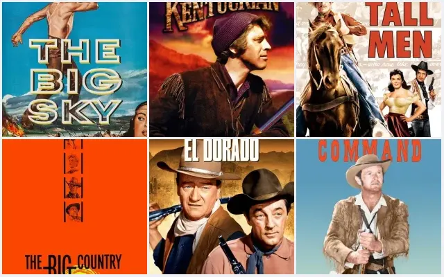 6 Best Arthur Hunnicutt Movies