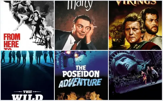 6 Best Ernest Borgnine Movies