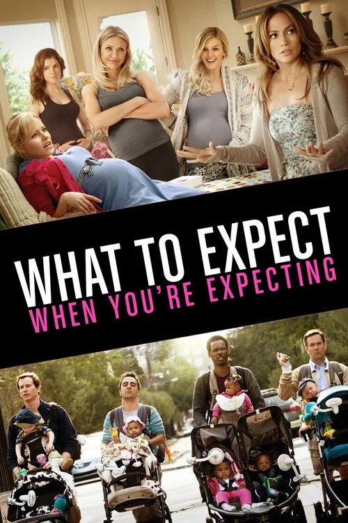 What to Expect When You're Expecting (2012)