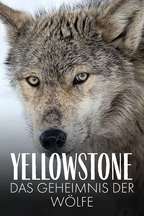 Yellowstone (2018)