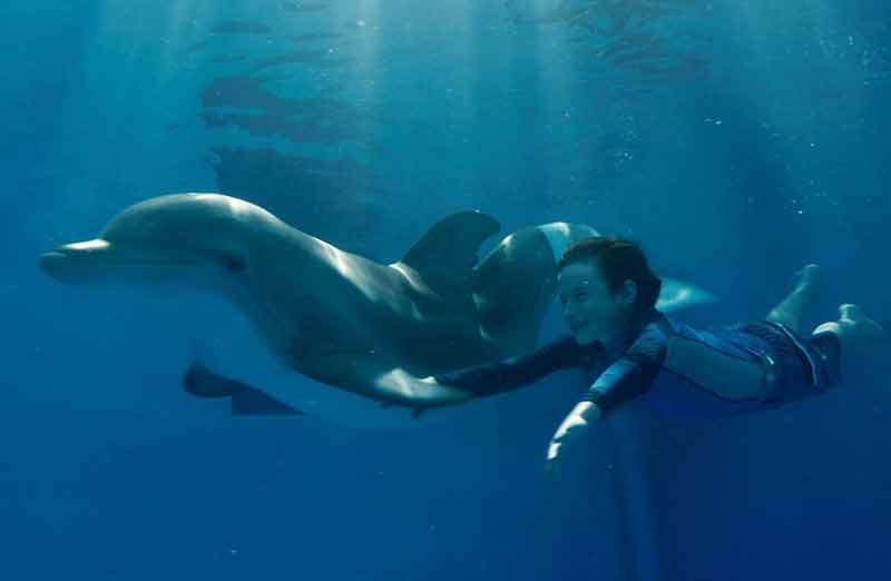 Dolphin Tale (2011)