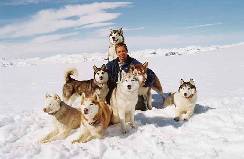 Eight Below (2006)
