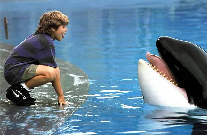 Free Willy (1993)